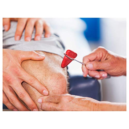 Sport-Tec Reflexhammer nach Taylor 19,5 cm Diagnostik