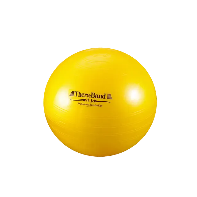 ARTZT thepro TheraBand ABS Gymnastikball 65 cm Balance