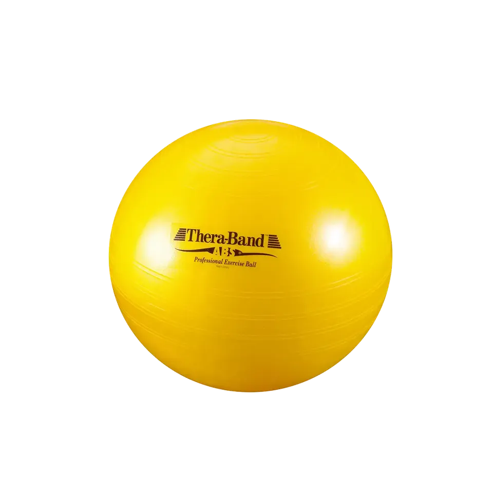 ARTZT thepro TheraBand ABS Gymnastikball 65 cm Balance