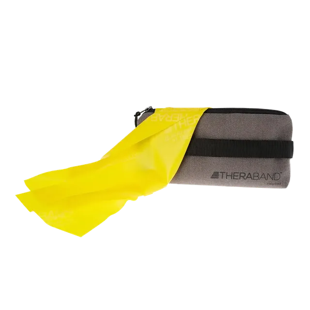 ARTZT thepro TheraBand 2,50 m mit Türanker Tasche