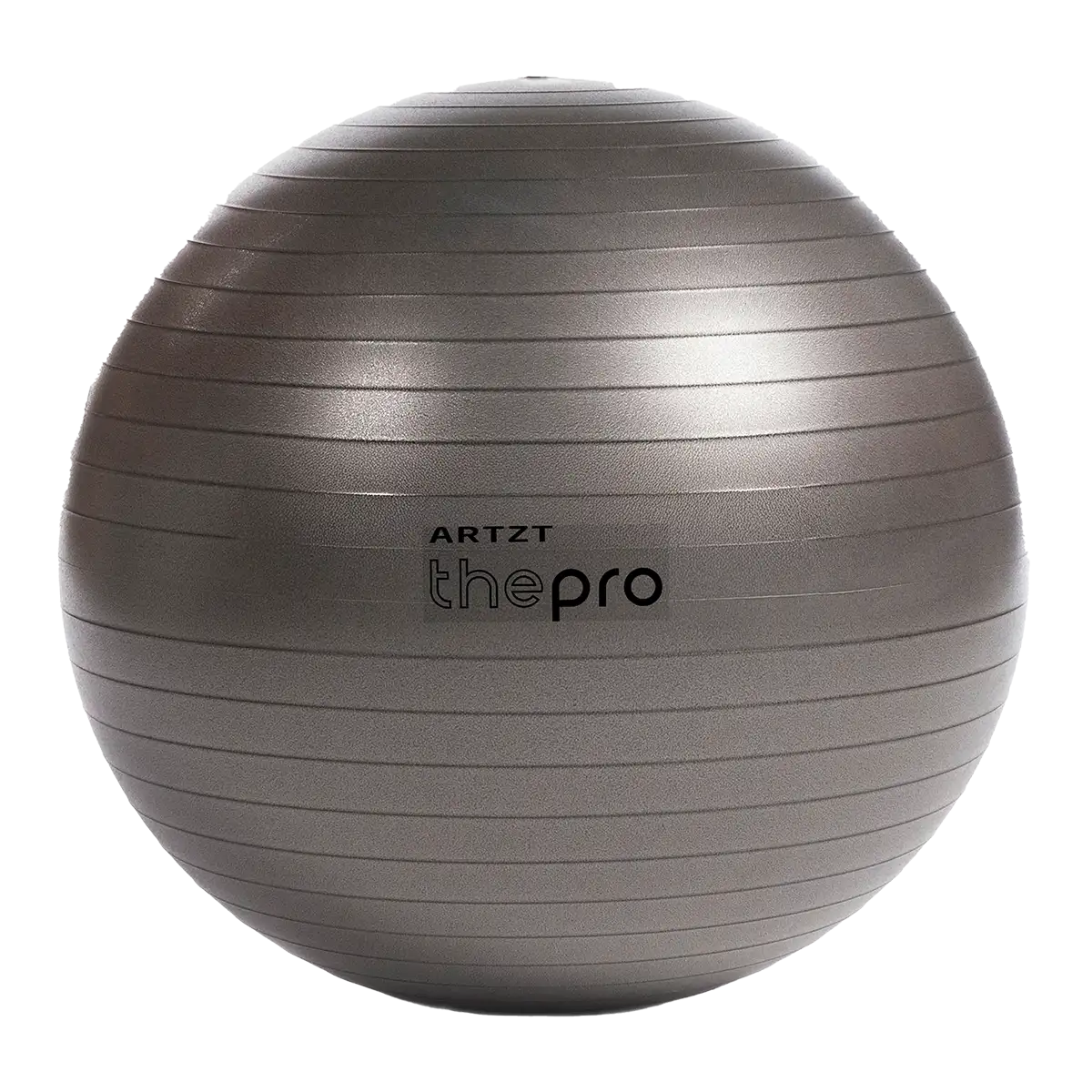ARTZT thepro Gymnastikball Original Pezziball 65 cm Sitzball