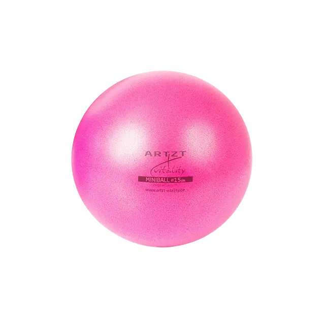 ARTZT vitality Pilates Ball Pilatesball 22 cm griffig