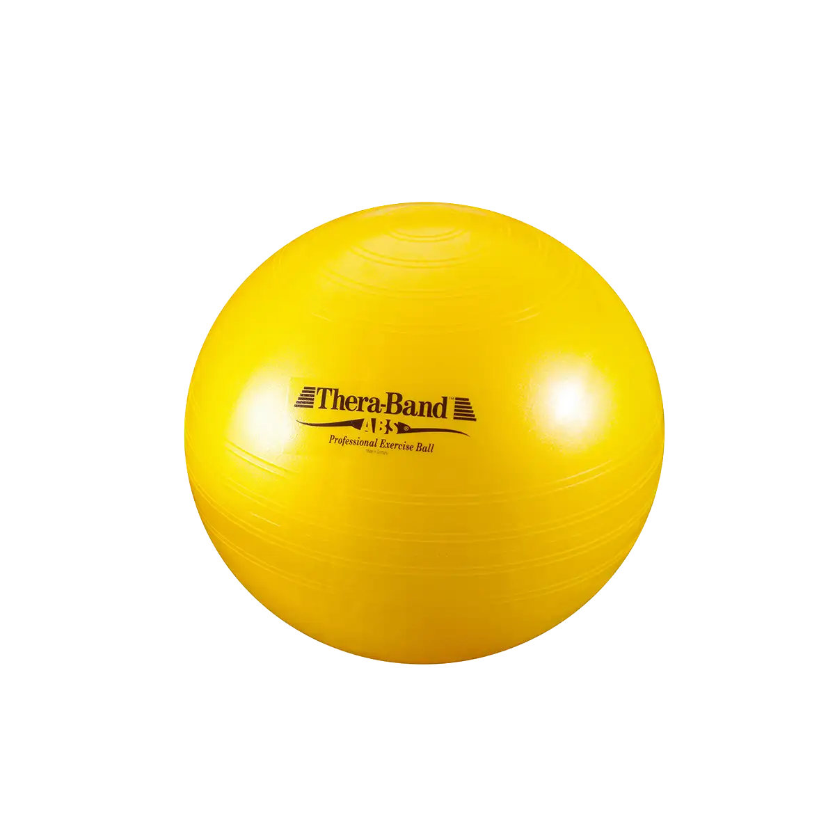ARTZT thepro TheraBand ABS Gymnastikball 65 cm Balance