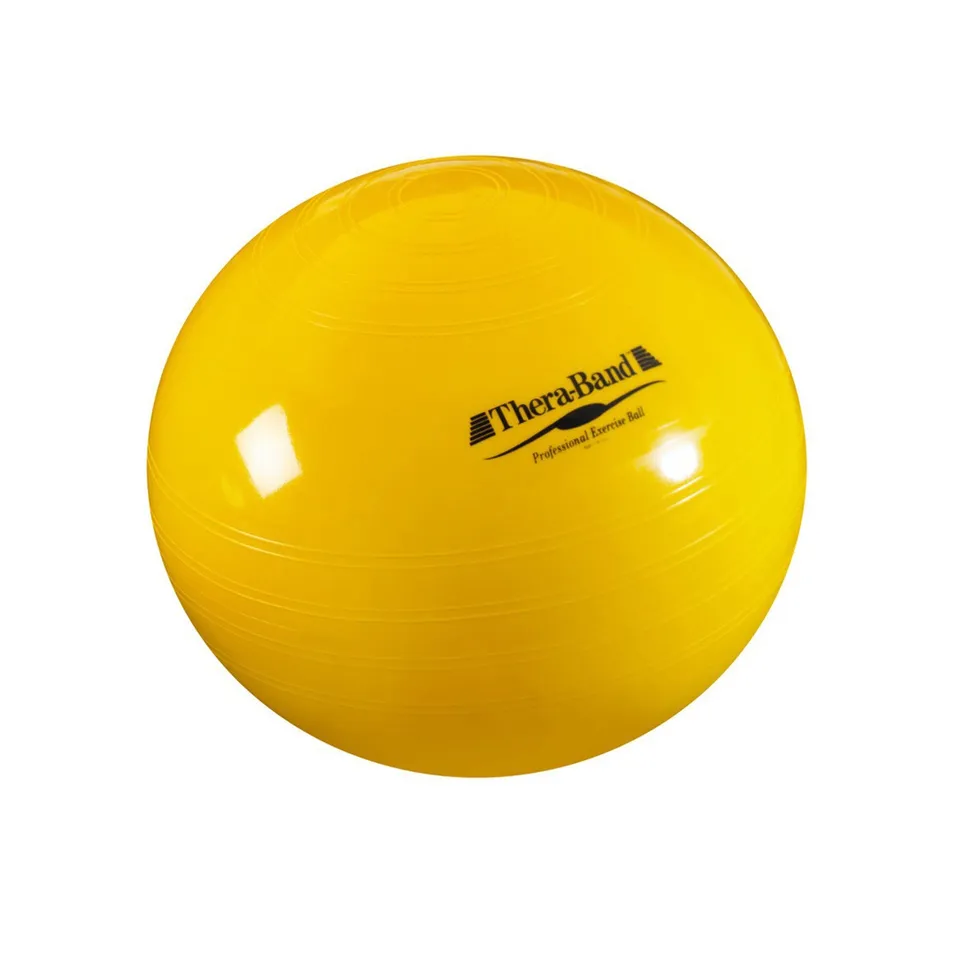 ARTZT thepro TheraBand Gymnastikball 65 cm Standard