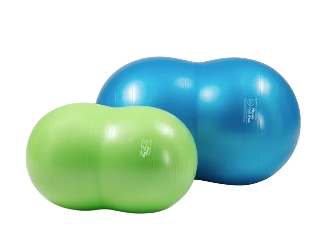 Pezzi Physiotherapy Physio Roll Plus Doppelball