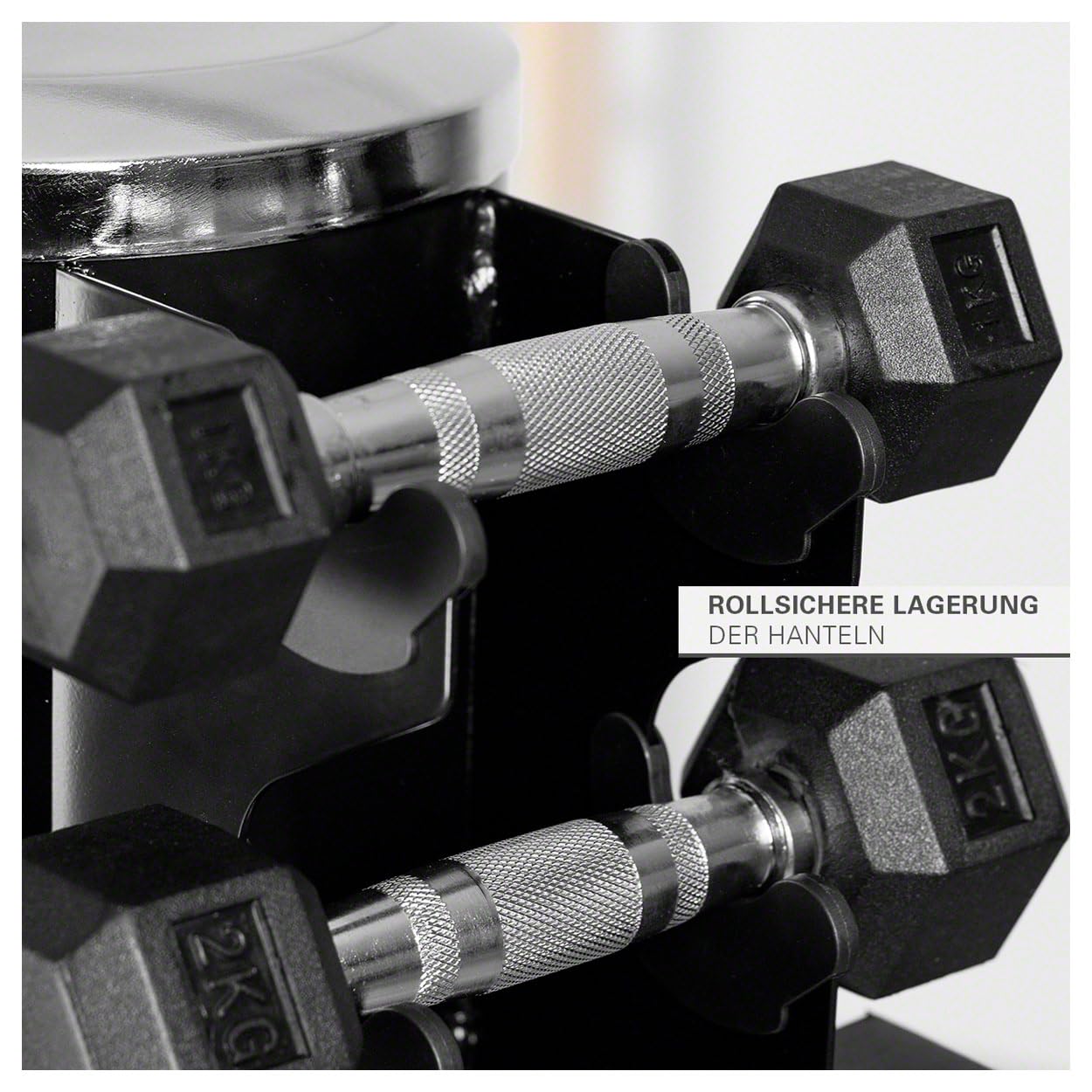 Sport-Tec Kurzhantel-Turm-Set 10 Paar 1-10 kg mit Ständer
