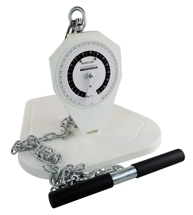 Baseline Evaluation Dynamometer 300 kg Rücken Bein Brust
