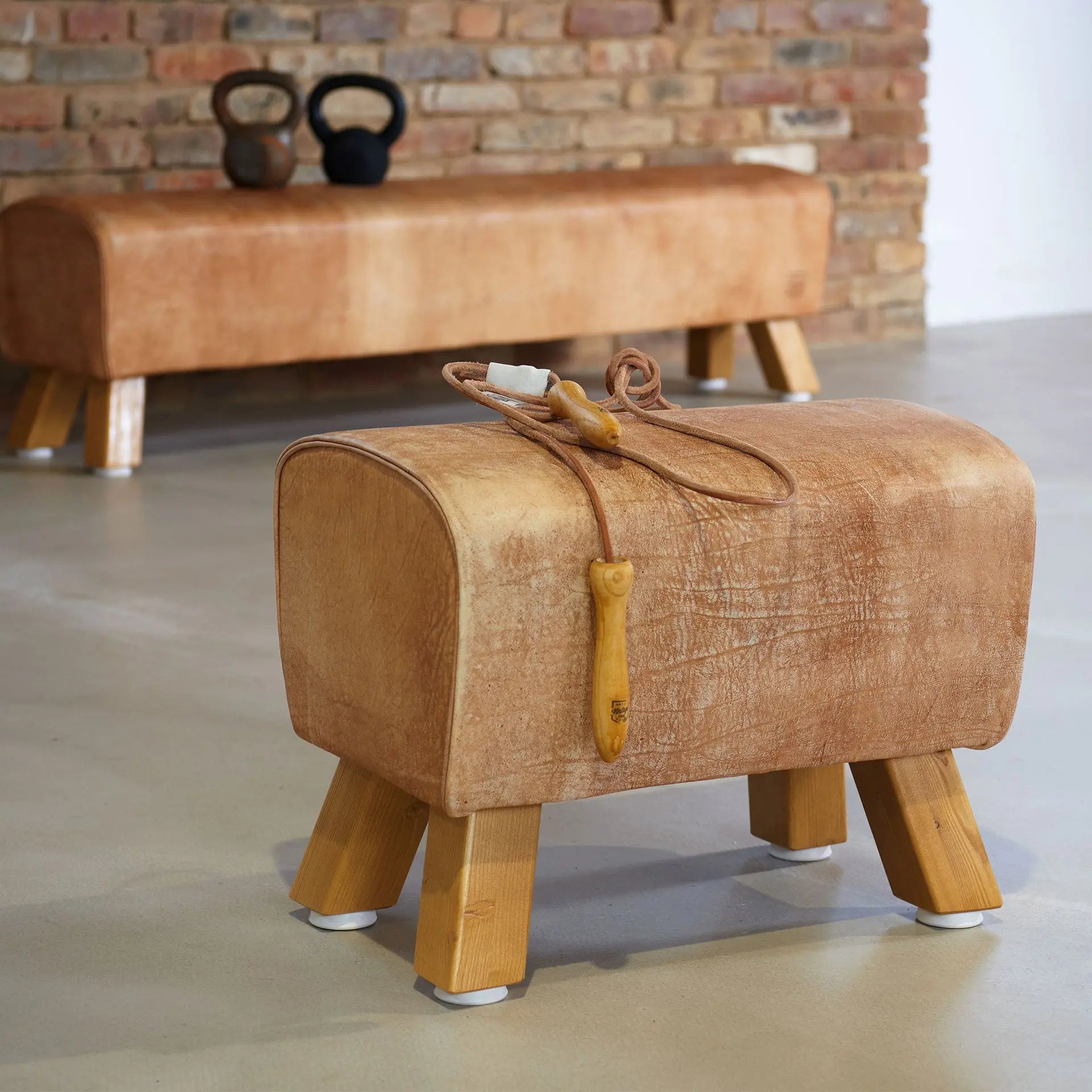 ARTZT Vintage Turnbock Rindsleder 57,5x35x45 cm