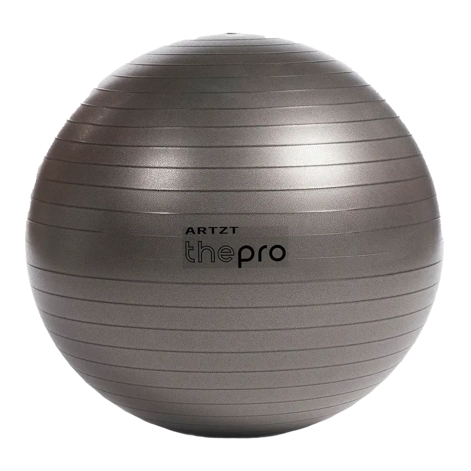 ARTZT thepro Gymnastikball Original Pezziball 65 cm Sitzball