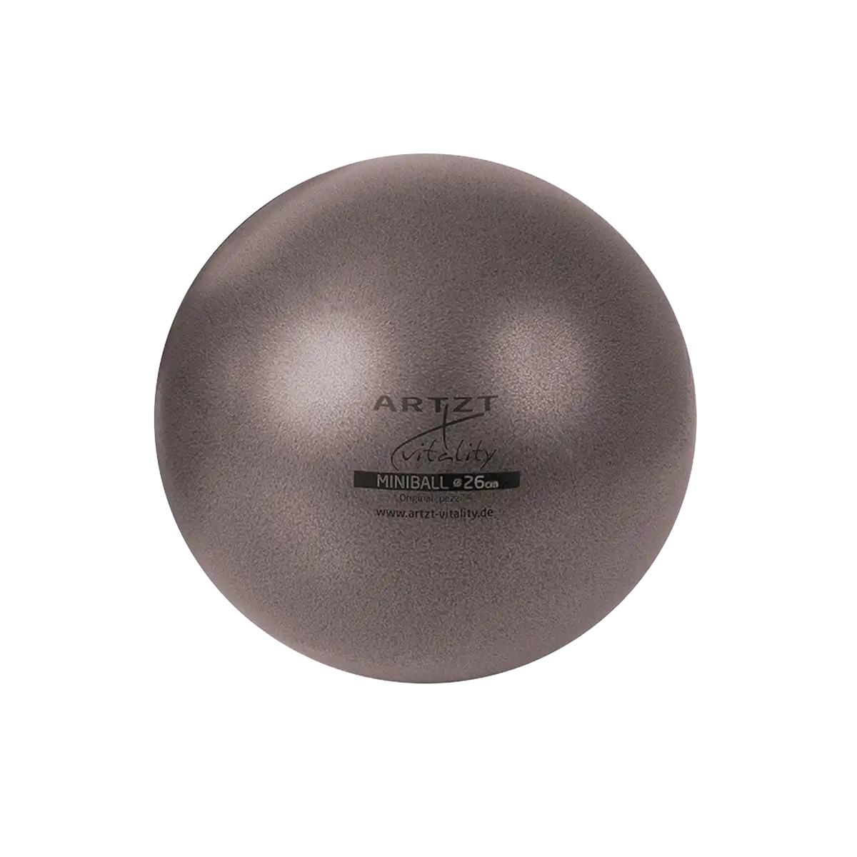 ARTZT vitality Pilates Ball Pilatesball 26 cm griffig