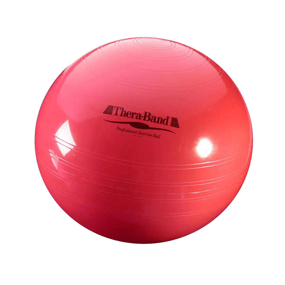 ARTZT thepro TheraBand ABS Gymnastikball 65 cm Balance
