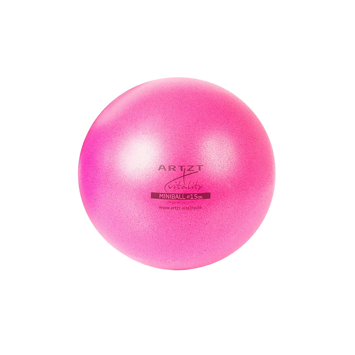 ARTZT vitality Pilates Ball Pilatesball 26 cm griffig