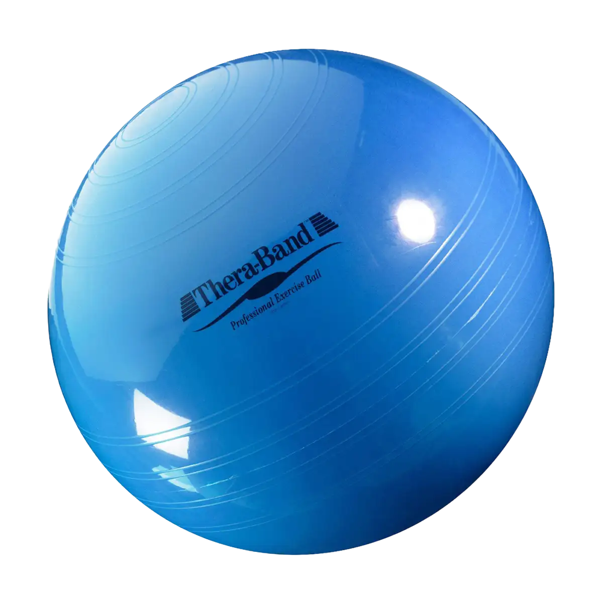 ARTZT thepro TheraBand ABS Gymnastikball 65 cm Balance
