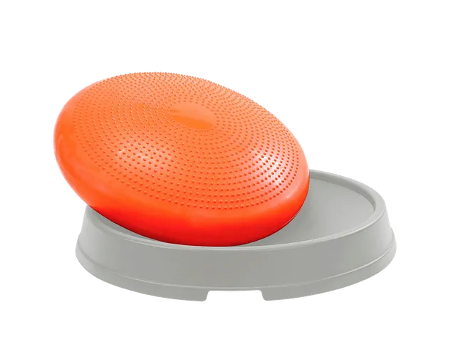 PEZZI Fitness Disco Dome Balancetrainer mit Kissen Step