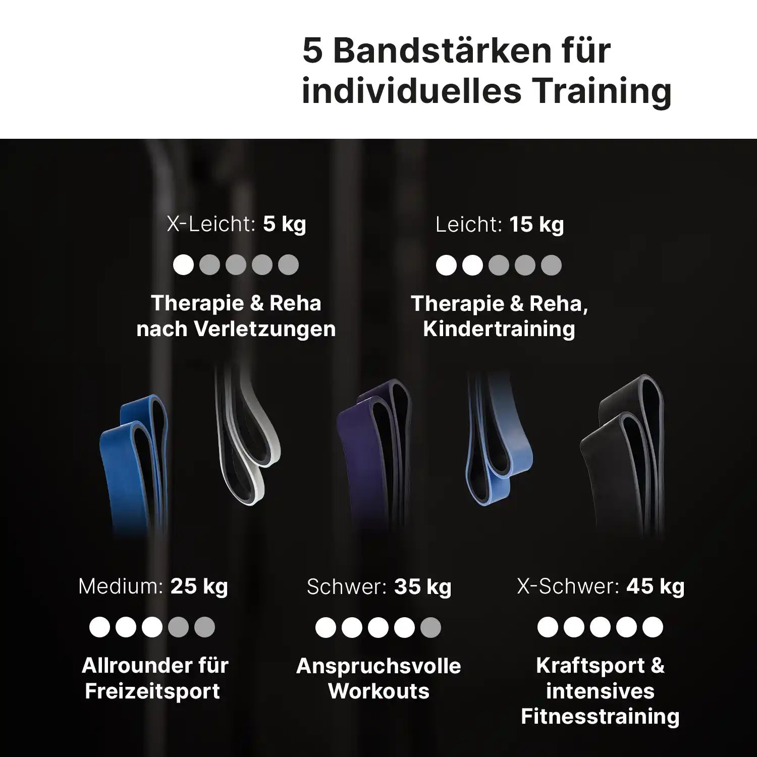 ARTZT thepro Power Bands Fitnessbänder 5er Set Classic