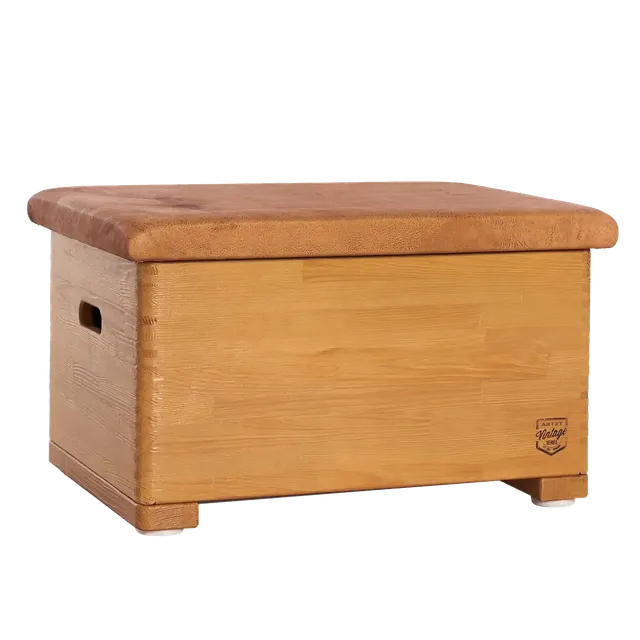 Artzt Vintage Series Sprungkasten Holz Leder 70x50x40 285 kg